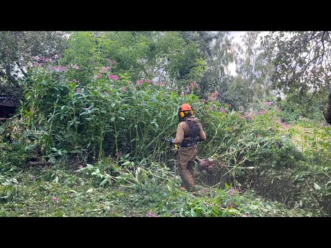 Видео: Кошу джунгли в центре Бронниц. Штиль (Stihl) - огонь!