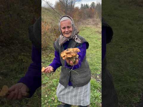 Видео: Підпеньки в саду. #сад #природа #grandma #shortvideo #nature #mashroom #красота