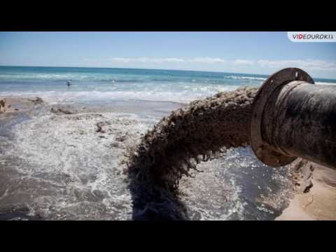 Видео: Воздействие человека на природу