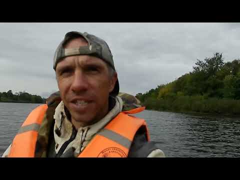 Видео: Ловля осенней щуки на були