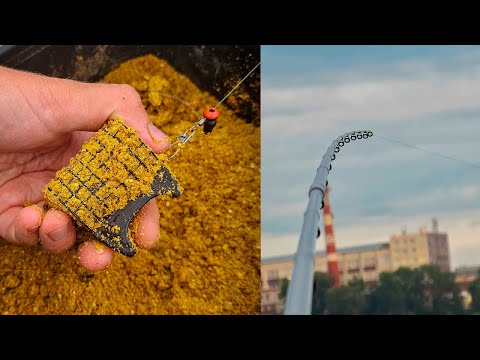 Видео: Рыбалка на фидер на большой реке на Zemex River Feeder 4.2 260