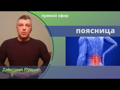 Видео: Болит поясница? Прямой эфир про боль в спине с Дмитрием Кущиком