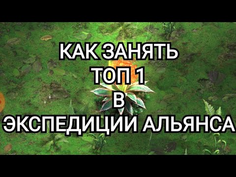 Видео: The Ants | ТОП 1 В ЭКСПЕДИЦИИ АЛЬЯНСА | СБОР | The Ants Underground kingdom