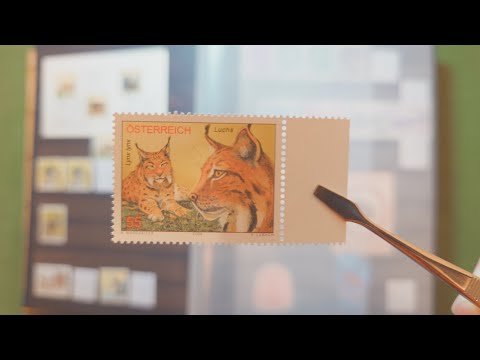 Видео: Коллекция почтовых марок - Альбом марки Австрия #collecting #collection #stamps