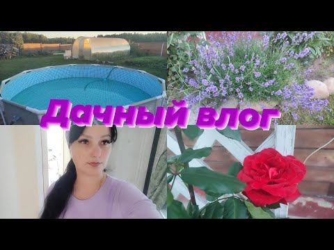 Видео: Дачный ВЛОГ .Поставили бассейн.Огородные дела.#дачныйвлог #funny #fun #дачнаяжизнь #бассейннадаче