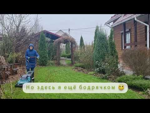 Видео: Как быстро навести порядок в саду.   От какой работы я ОТКАЗАЛАСЬ НАВСЕГДА, а что делаю обязательно.