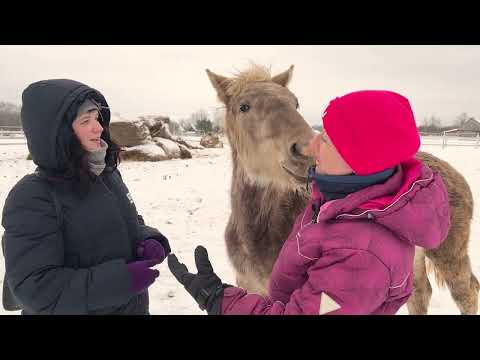 Видео: Документалка "как про нас "кино" снимали".