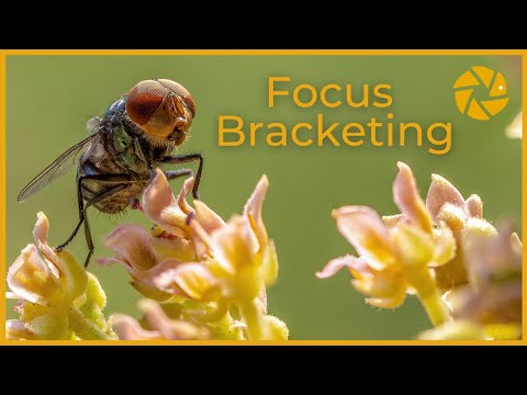 Видео: Брекетинг фокусировки | НАСТРОЙКИ и пошаговое РЕДАКТИРОВАНИЕ. (Фокусировка стекирования)