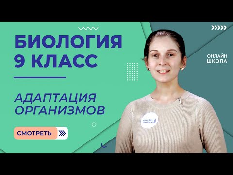Видео: Адаптация организмов к различным условиям существования. Видеоурок 38. Биология 9 класс