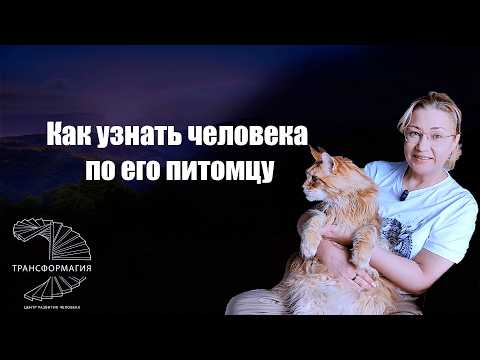 Видео: Как узнать человека по его питомцу? 😻🐕‍🦺❤