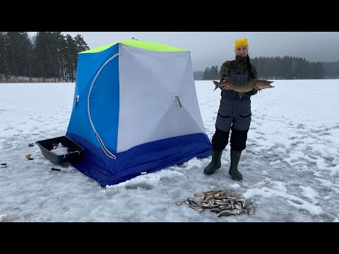 Видео: Отлично порыбачили !!! Отдых на природе семьей. Беларусь. Зимняя рыбалка на жерлицы и удочки.