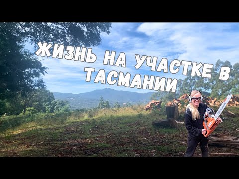 Видео: Жизнь на участке в региональной Австралии (Тасмания) - огород, дрова, пауки, спорт - как мы живем