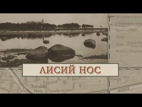 Видео: Лисий Нос / «Малые родины большого Петербурга»