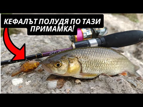 Видео: НАЙ ЯКИЯТ удар на кефал досега! Savage Gear 3D Cicada