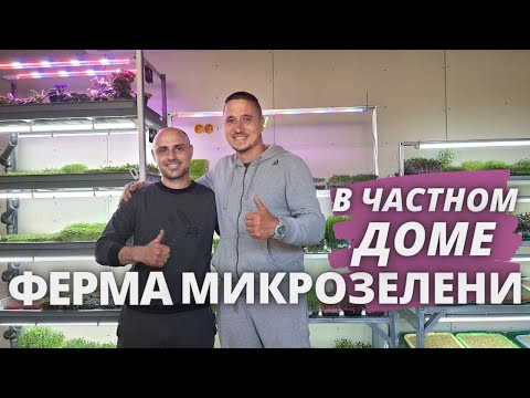 Видео: Ферма Микрозелень в частном доме Обзор Зеленый Шеф бизнес идеи