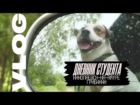 Видео: Мои каникулы Николаевск-на-Амуре Грибы и рыбалка Влог 2025