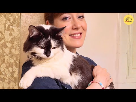 Видео: Эту кошку-инвалида чуть не усыпили, пока одна женщина не спасла ее