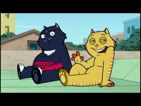 Видео: Домашние коты!) смешные моменты!!!