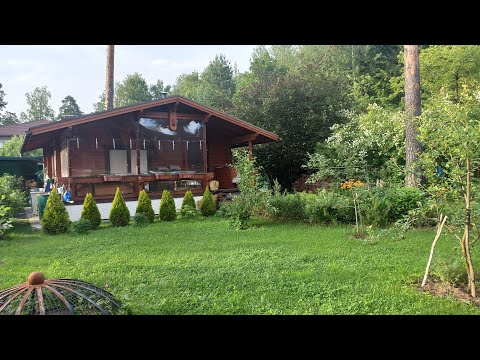 Видео: Сад Фариды Равиловой. Беседа с хозяйкой БЕЗ МОНТАЖА!!! 19.06.2024.