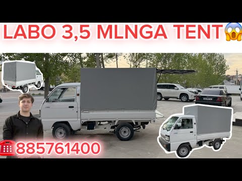 Видео: LABO TENT NARXI/ ЛАБО БОРТЛИ ТЕНТ НАРХИ 2025. ЛАБОГА туника коплаш нархи