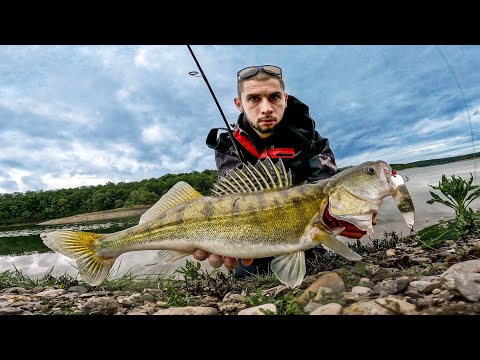 Видео: МАГНИТ за ХИЩНИЦИ ! Риболов на ЩУКА и БЯЛА РИБА