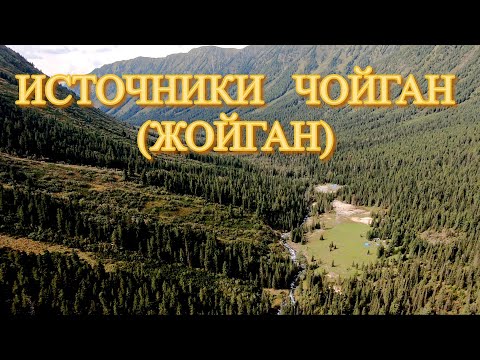 Видео: Источники Чойган Жойган