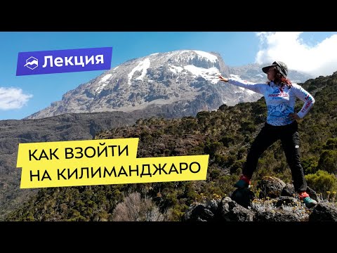 Видео: Как взойти на Килиманджаро