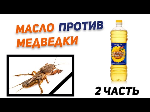 Видео: Большая охота на медведок. Часть 2