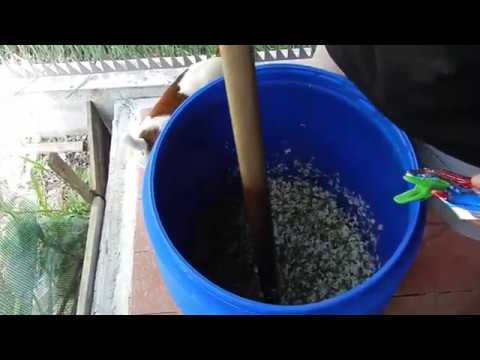 Видео: Самогон из акации (начало).