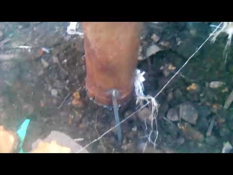 Видео: Дымогенератор без инжектора это круто