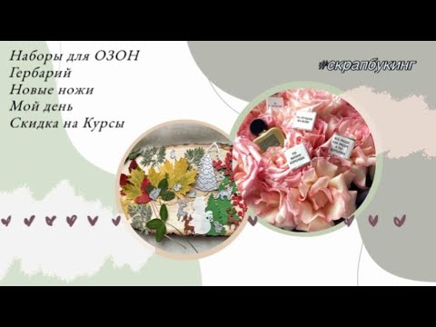 Видео: Новые наборы вырубки, ножи с али 🌲🐿 Мой день 🎁🌸 Скидка на мои Курсы #скрапбукинг