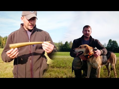 Видео: Обзор охотничьего рожка.Нагонка гончей по зайцу