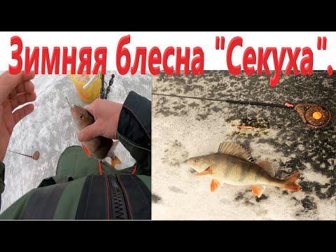 Видео: Самая уловистая зимняя блесна секуха. Ловля окуня зимой.