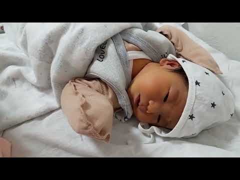 Видео: 1 мая 2024 г.