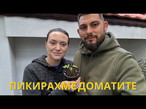 Видео: ЖИВОТ НА СЕЛО: Довършителни работи по градината | Пикирахме доматите