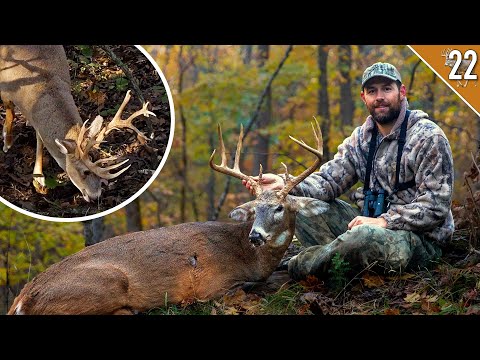 Видео: Мой самый безумный день охоты с луком!