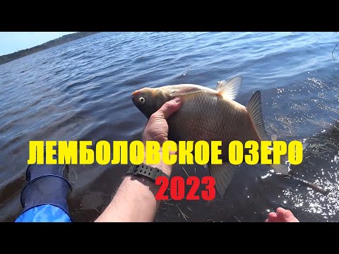 Видео: Лемболовское озеро рыбалка 2023. Фидер на Лемболовском озере.