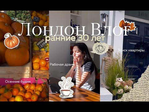 Видео: Будни эмигранта в Лондоне: поиски квартиры и корпоративная драма 😩