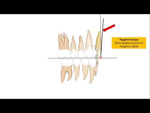 Видео: Изгибы третьего порядка (крутящие изгибы)