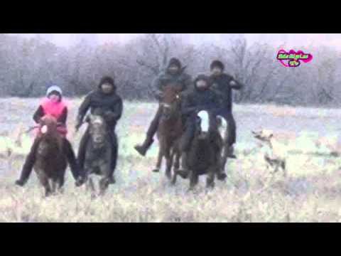 Видео: Жанажол 22 наурыз тай жарыс ауыл