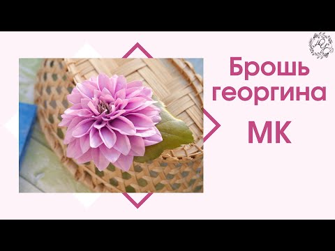 Видео: Брошь георгина из фоамирана. 1 часть