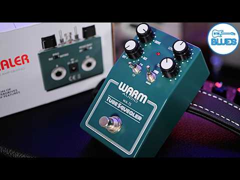 Видео: Warm Audio объединил в себе все лучшие схемы Tube Screamer!