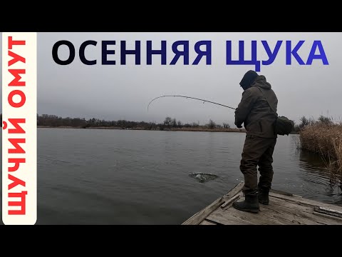 Видео: ЩУКА ОСЕННИЙ СПИННИНГ