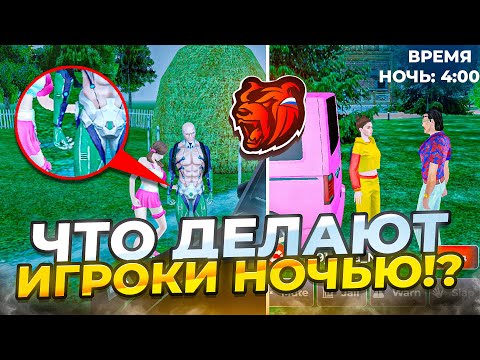 Видео: СЛЕЖУ за ИГРОКАМИ в 4 ЧАСА НОЧИ на БЛЕК РАШЕ