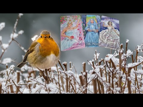 Видео: 🔥Мнението ти за мен е...🔥