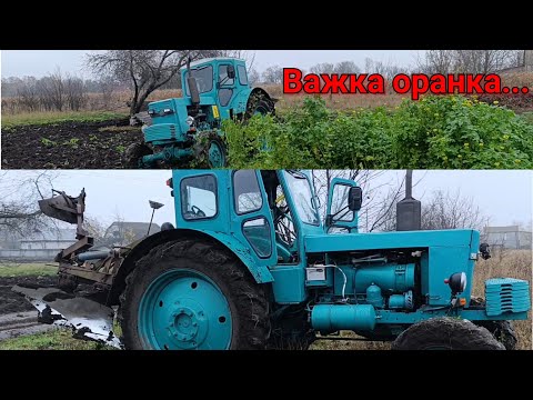 Видео: 🔥 Важка оранка Т-40 з плугом 2/35+1!!! Гній, гірчиця, болото — справжня робота 💪🚜#оранка#Т40