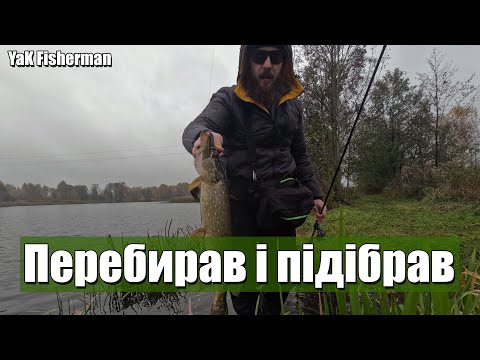 Видео: Коли не клює - ПЕРЕБИРАЙ приманки.