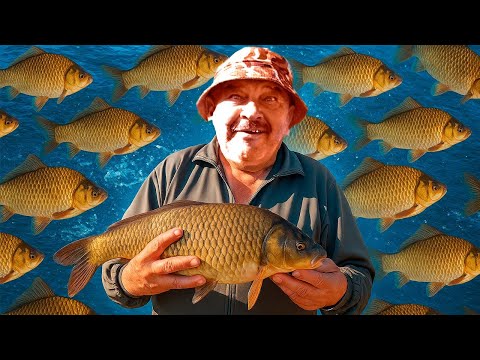 Видео: ТАКОЙ РЫБАЛКИ НА КАРАСЯ БОЛЬШЕ НЕ БУДЕТ