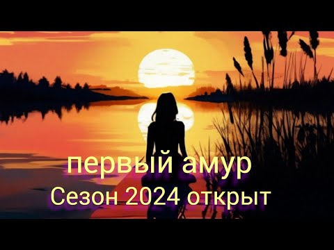 Видео: Сезон 2024 открыт Первый Амур