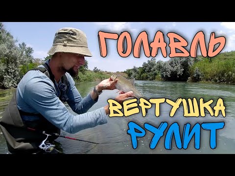 Видео: Вот это рыбалка👍Ловля голавля на спиннинг в реке Егорлык. Таких я ещё не ловил. Рыбалка в кайф!!!!